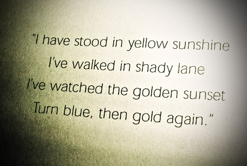 I Have Stood In Yellow Sunshine