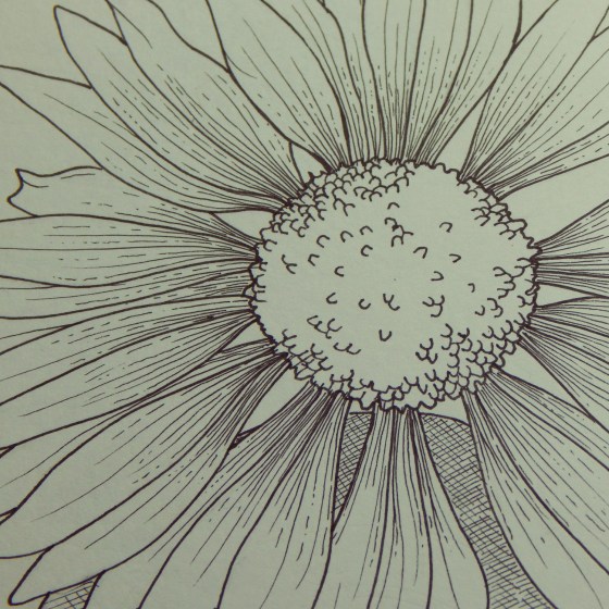 DSCN3390[sqr--dallas]