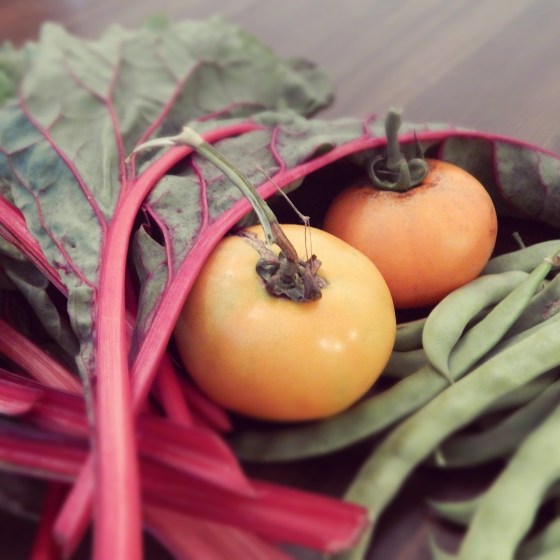 DSCN3925[sqr-tilt-dallas]