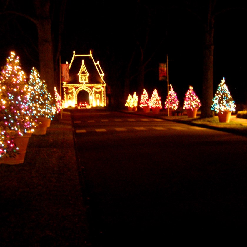 200612211149529[sqr]