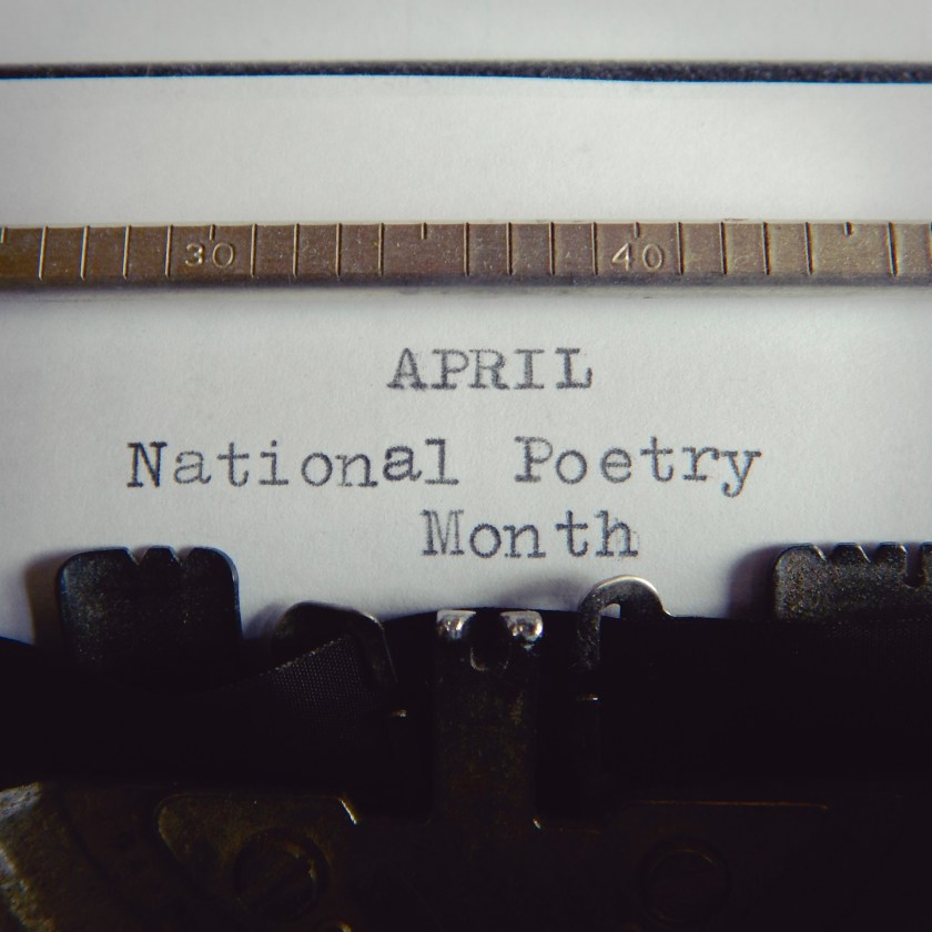 DSCN5411[sqr-basic-lomo-lofi]