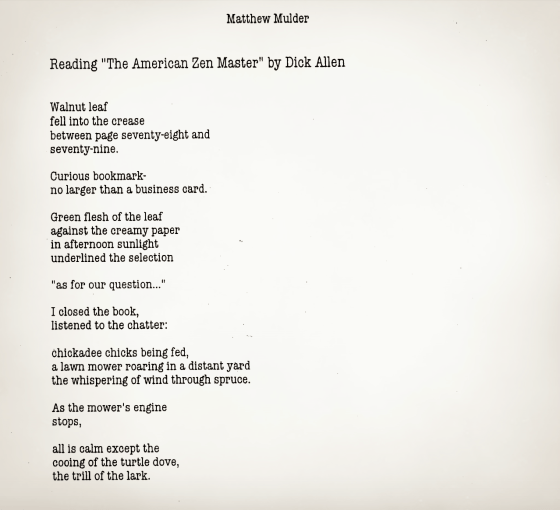 Reading The American Zen Master