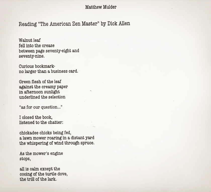 Reading The American Zen Master