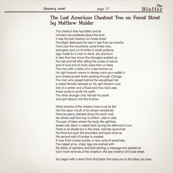 The Last American Chestnut Tree on Forest Street