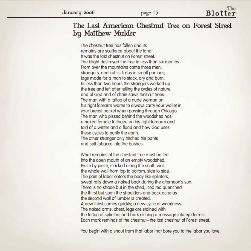 The Last American Chestnut Tree on Forest Street