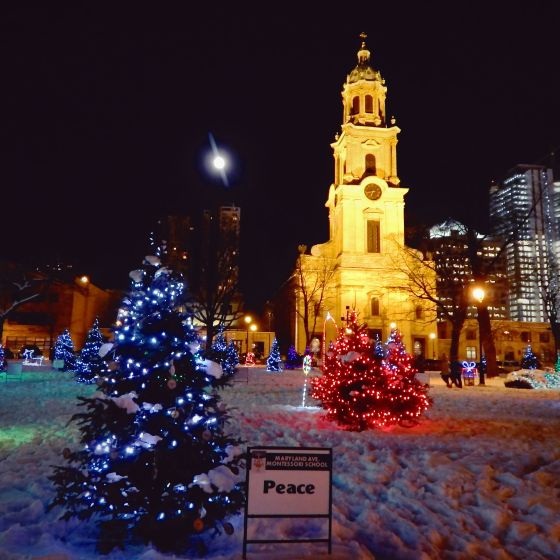 dscn6629sqr-basic-lomo-lofilores