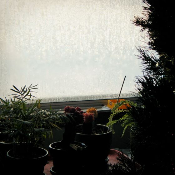 dscn6640sqr-basic-lomo-sunkissedlores